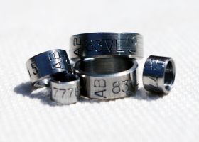 RINGE AUS STAHL x8CrNiS18-9