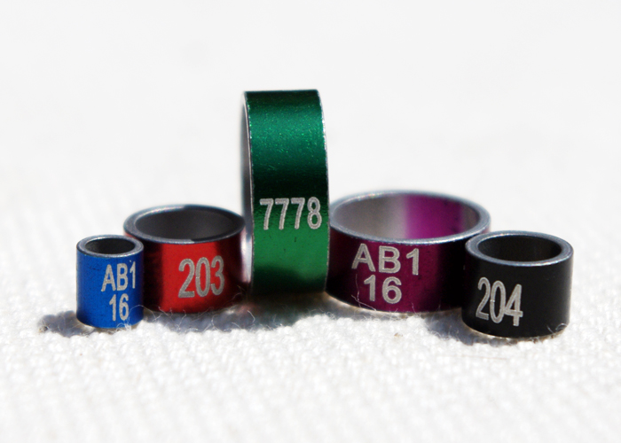 RINGE AUS GEFÄRBTEM ALUMINIUM